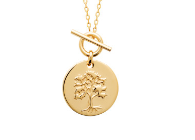 Collier plaqué Or pendentif médaille ronde arbre de vie